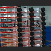 3%NaCl赖氨酸脱羧酶试验培养基全国供货