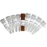 麦伯 QuantFast SYBR Green qPCR SuperMix M2211/M2212