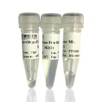 麦伯生物 Magic 1st cDNA Synthesis Kit (With dsDNase) M2111 M2112 反转录试剂盒