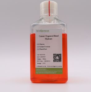 类器官 Cancer Organoid Basal Medium