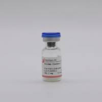 类器官Human Gastrin-1