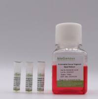 类器官Esophageal Cancer Organoid Kit