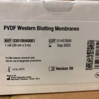 Roche 03010040001现货PVDF免疫印迹膜13611631389上海睿安生物