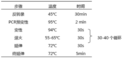 PCR反应条件有什么？