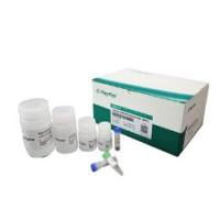 生物制品宿主细胞残留DNA前处理试剂盒(磁珠法)