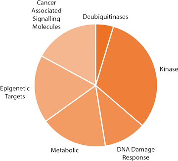 RNAi 在靶点识别和验证中的应用