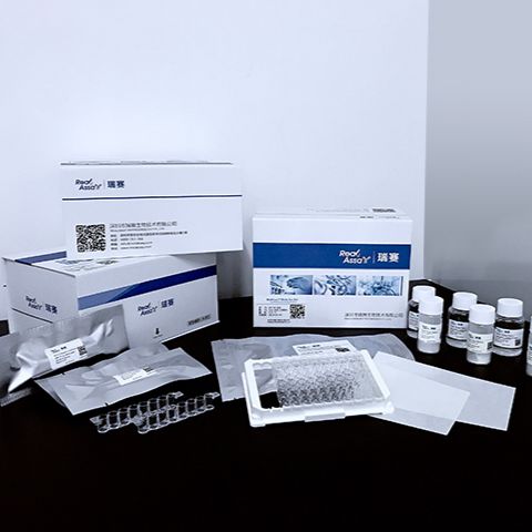 胆碱检测试剂盒