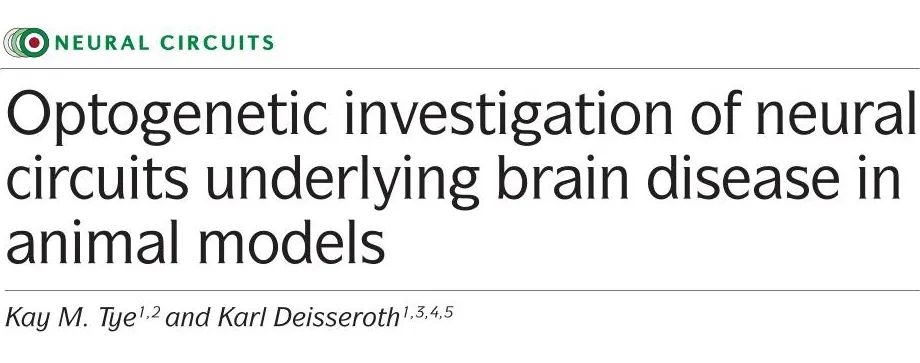 Nature神经科学综述｜光遗传学研究神经精神疾病动物模型神经环路