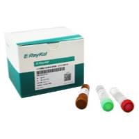 CHO残留DNA检测试剂盒(qPCR-探针法)