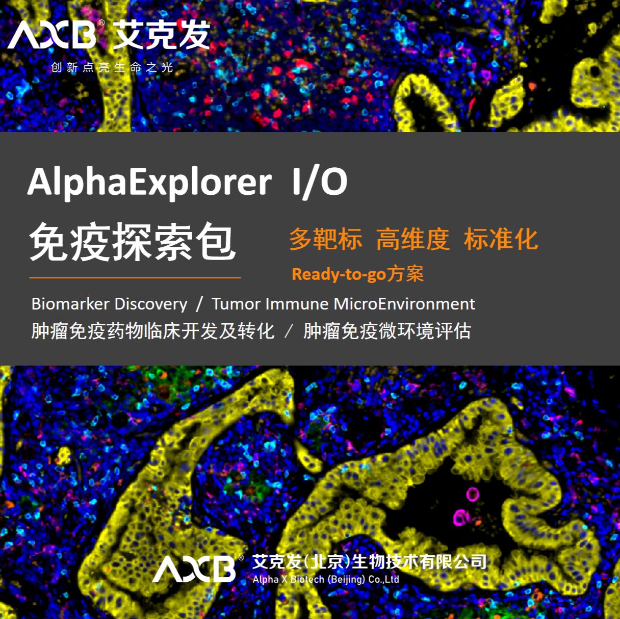 AlphaExplorer  I/O  免疫探索包 