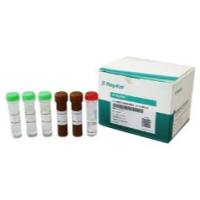 Vero残留DNA检测试剂盒(qPCR-探针法)
