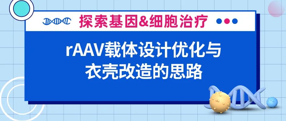 载体设计优化与衣壳改造有助rAAV突破应用瓶颈