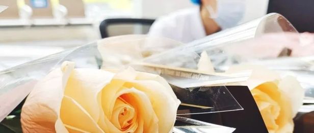 致敬燕帽天使：苏州京东方医院国际护士节系列活动