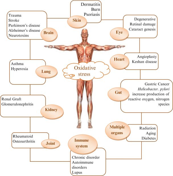 氧化应激评价在各类型疾病研究中的应用
