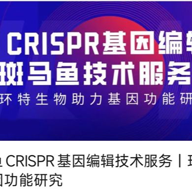 斑马鱼CRISPR-Cas9基因编辑（含敲除,敲入,敲降,转基因等技术服务）