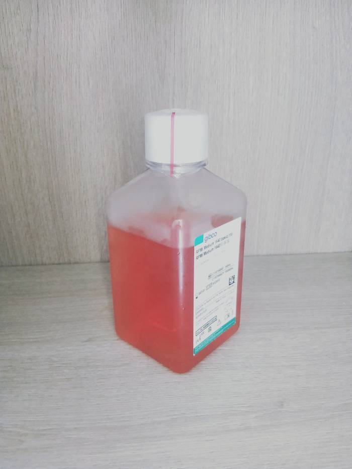 Gibco试剂 RPMI培养基 1640培养液C118755