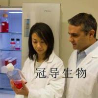 庖肉培养基最近批次