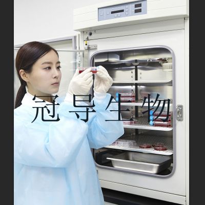 真杆菌选择性琼脂培养基最近批次