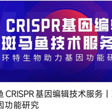 斑馬魚CRISPR-Cas9基因編輯服務（含敲除、敲入、敲降等技術服務）