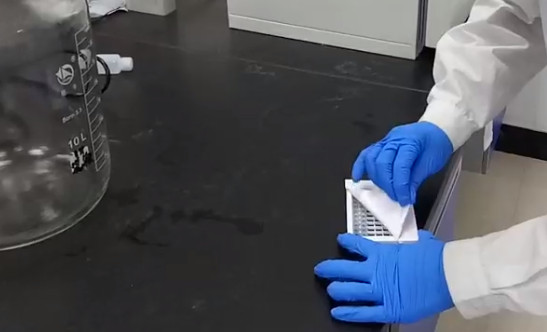 浅谈小鼠ELISA试剂盒的抗原抗体反应简析