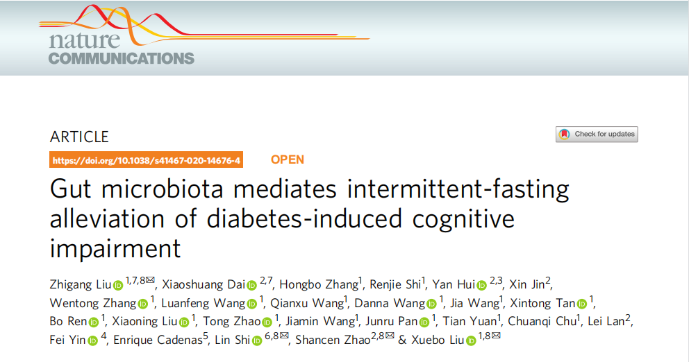 文献解读 | 糖尿病患者福音！认知损伤有救了！间歇性禁食改善糖尿病引起的认知损伤