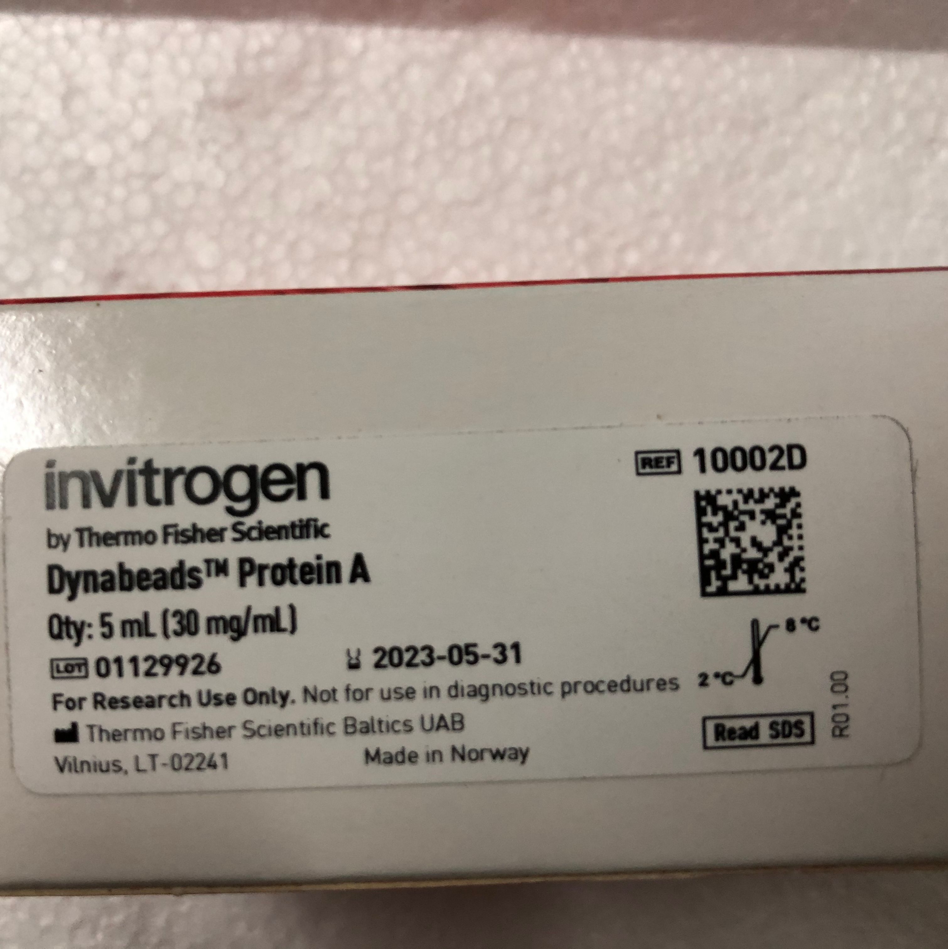 Invitrogen 10002D用于免疫沉淀的Dynabeads™蛋白A上海睿安生物13611631389