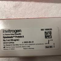 Invitrogen 10002D用于免疫沉淀的Dynabeads™蛋白A上海睿安生物19121878899