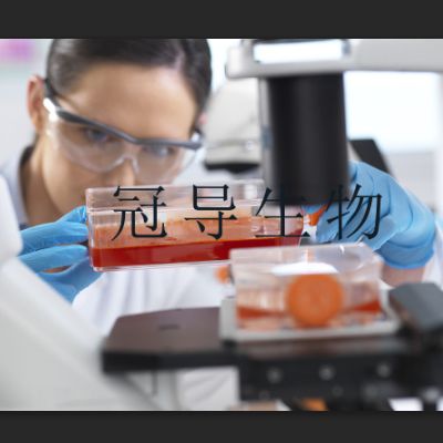 M17肉汤培养基最近批次