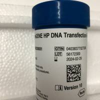Roche货号6366236001现货X-tremeGENE HP DNA转染试剂13611631389上海睿安生物