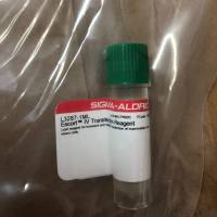 Sigma L3287-1ml现货Escort ™ IV转染试剂13611631389上海睿安生物