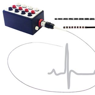 小动物心脏电生理研究系统，大鼠心脏电生理导管