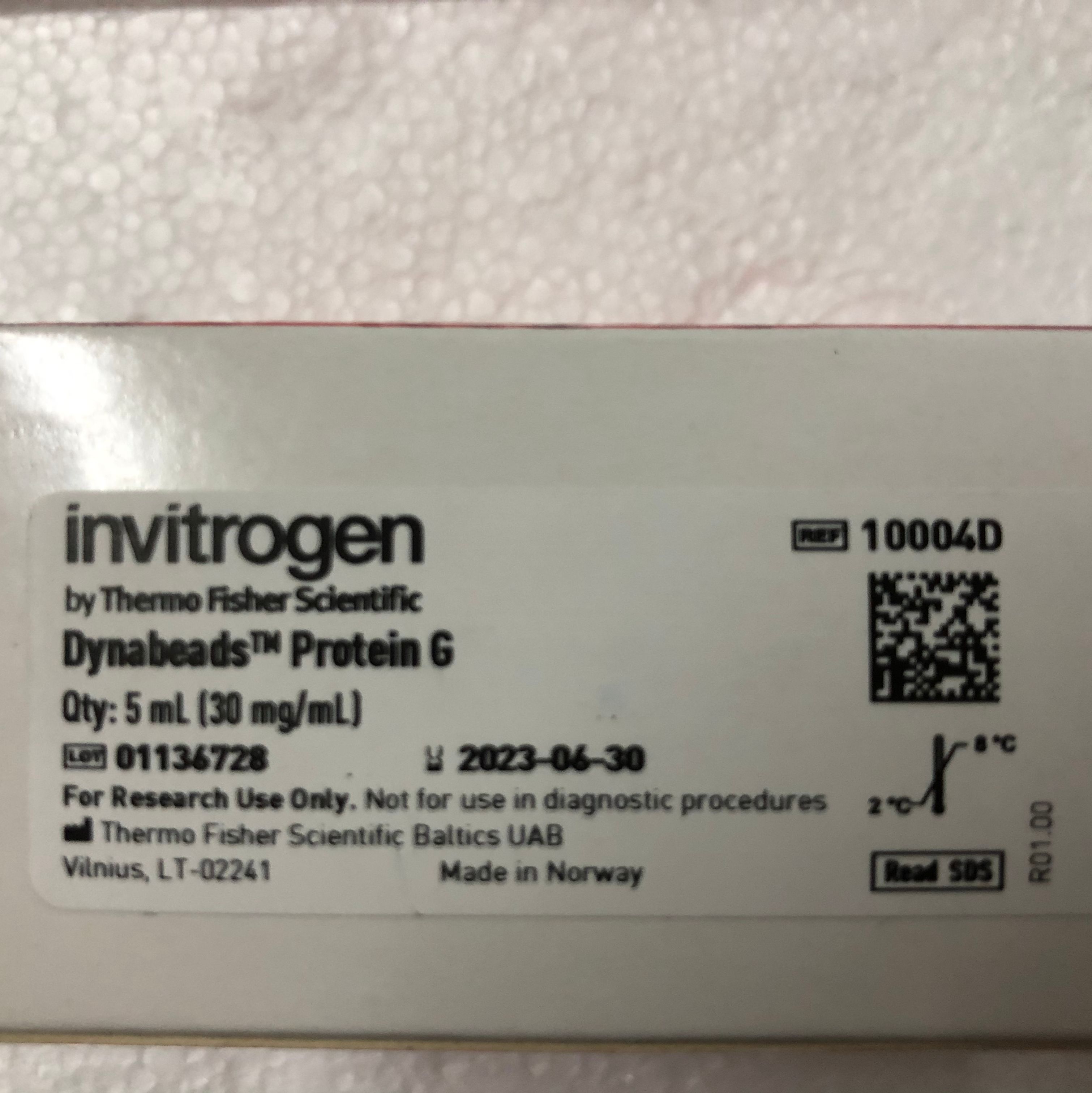 Invitrogen 10004D用于免疫沉淀的免疫磁珠蛋白G睿安13611631389