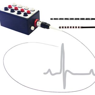 小鼠心脏电生理导管，小鼠心内电生理导管
