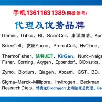 Nunc货号179707细胞刮刀(刀刃弹性好)对细胞损伤小且收获率高13611631389上海