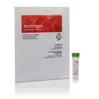 Thermo Scientific生化试剂-蛋白质及其衍生物-8