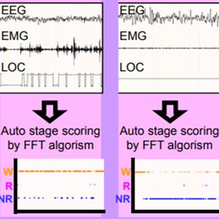 小动物睡眠分析软件,大小鼠睡眠分析软件