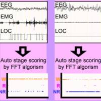 小动物睡眠分析软件,大小鼠睡眠分析软件