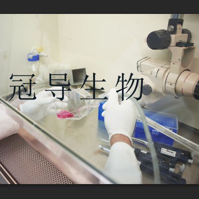 DEV乳糖蛋白胨肉汤培养基更多优惠