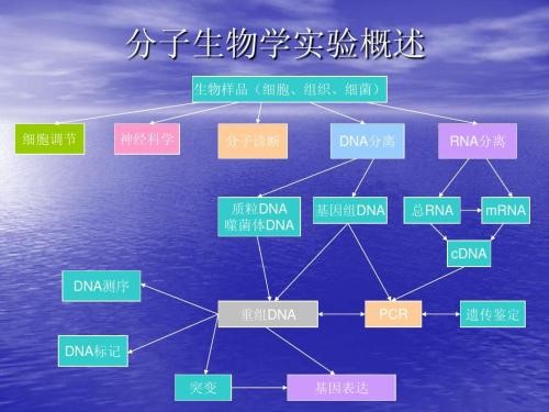柱式动物RNA提取试剂盒(柱式动物RNAout)