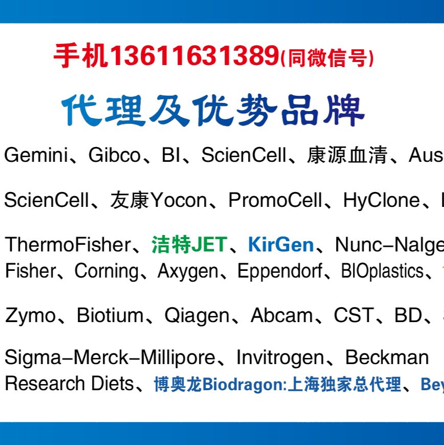Biodragon B1020 Flag-Tag多克隆抗体13611631389上海睿安生物