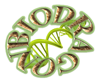 Biodragon博奥龙CM2001现货Hybridoma
