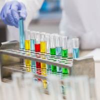 柱式植物RNA提取试剂盒(柱式植物RNAout)