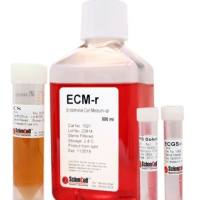 Sciencell 内皮细胞培养基-大鼠 1021 现货特价