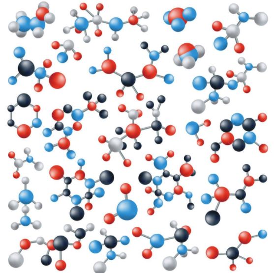 柱式细菌RNA提取试剂盒