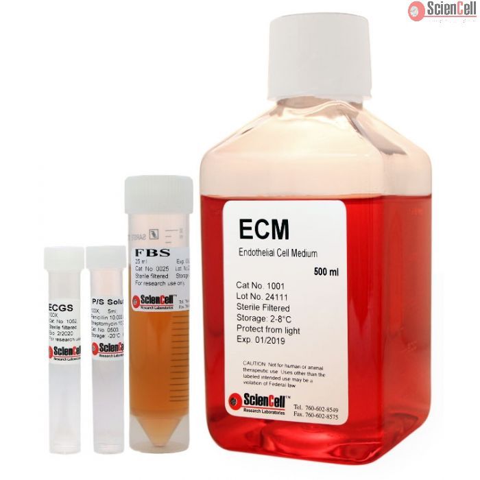 ScienCell 内皮细胞培养基 ECM 1001 现货特价