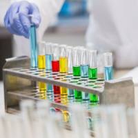 大片段DNA分子量标准