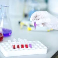 PCR级绿如蓝染料