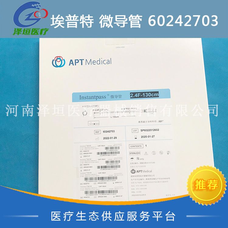 埃普特 微导管 60242703