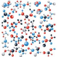 分枝杆菌DNA提取试剂盒