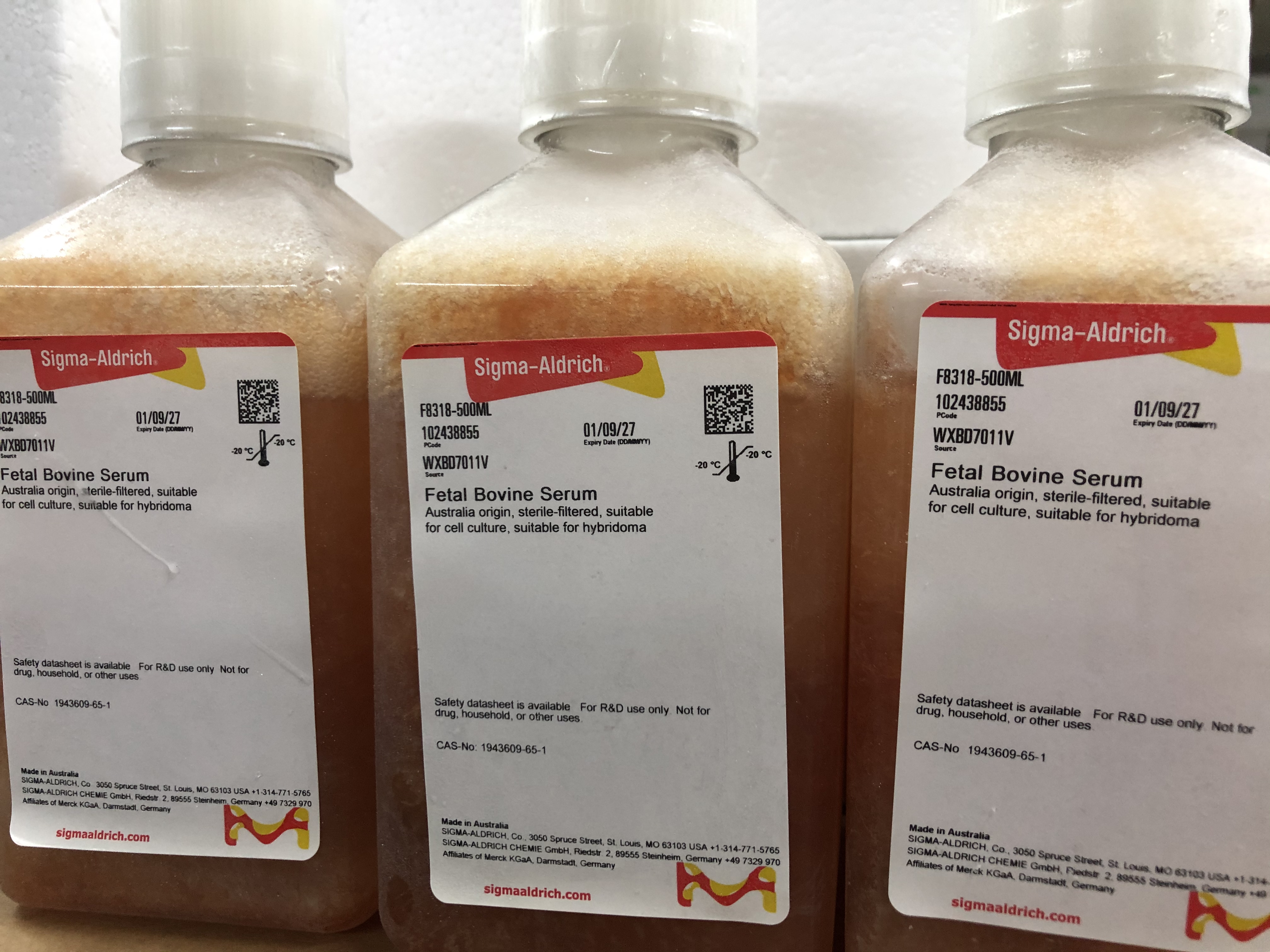 畅销供应Sigma货号F8318澳洲胎牛血清13611631389上海睿安生物